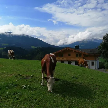 ファームステイ Apartment-chalet Moedlinghof *