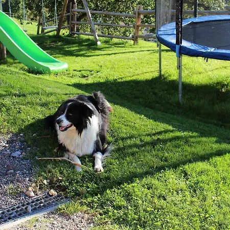 Gospodarstwo agroturystyczne Apartment-chalet Moedlinghof *