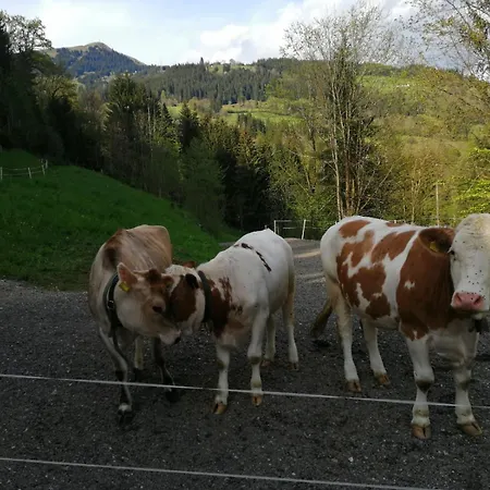 Gospodarstwo agroturystyczne Apartment-chalet Moedlinghof Hopfgarten im Brixental