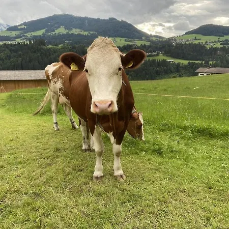 Apartment-chalet Moedlinghof * Hopfgarten im Brixental