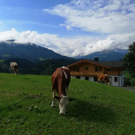 Apartment-chalet Moedlinghof